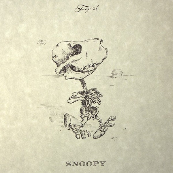 Snoopy squelette impression 8 x 10