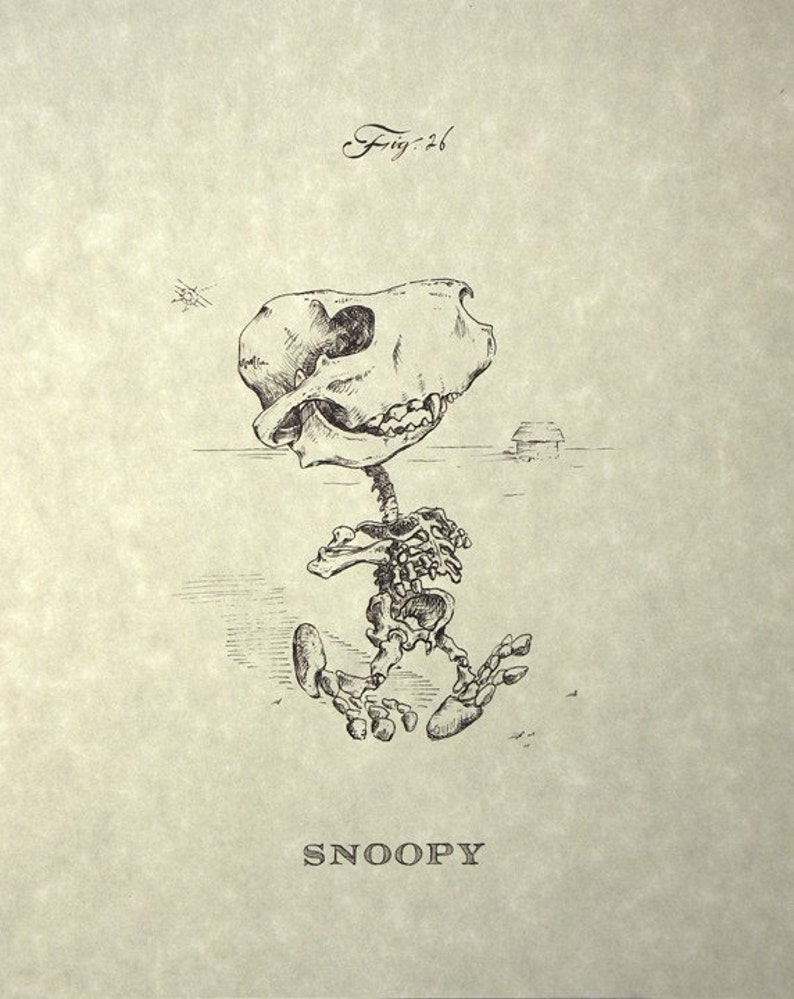 Snoopy Skeleton Print 8x10 image 1