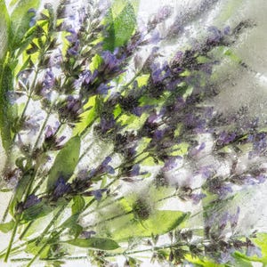 A sage greeting card