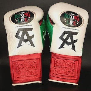 No Boxing No Life Gloves | Premium Boxing Gloves for Fighters | Custom Gloves for Training & Sparring | Unique Gift for Boxing Enthusiasts