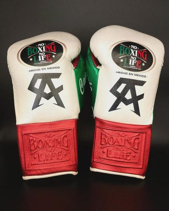 No Boxing No Life Gloves | Premium Boxing Gloves for Fighters | Custom Gloves for Training & Sparring | Unique Gift for Boxing Enthusiasts