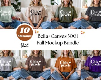 May include: A mockup bundle of 10 Bella + Canvas 3001 t-shirts in various colors, featuring the text "Chic pixels" on each shirt.