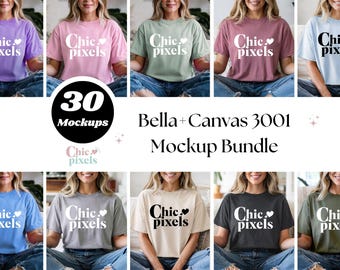 May include: A mockup bundle of 30 Bella + Canvas 3001 t-shirts in various colors, featuring the text "Chic pixels" on each shirt.