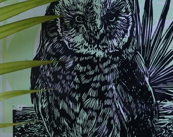 Burrowing Owl linocut print by artist Victoria Rose Martin
