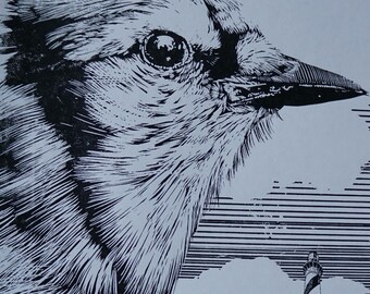 Blue Jay Linoleum Block print by artist Victoria Rose Martin
