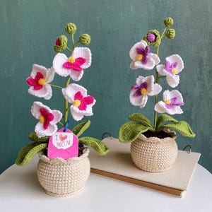 May include: Two crochet orchid plants in beige pots. The white flowers have pink and yellow centres. Green leaves and stems support the flowers. A tag with "I ❤️ MOM" is attached to one plant.