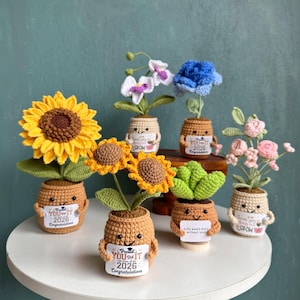 May include: A collection of six crocheted potted plants with smiling faces, including sunflowers, a blue rose, white orchids, a succulent, and pink flowers. Each tan pot holds a small white sign with text such as Proud You Did It Class of 2026.