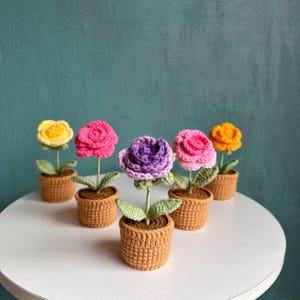 Pode incluir: Seis flores de crochê em pequenos vasos marrons. As flores são de várias cores, incluindo amarelo, rosa, roxo e laranja. Cada flor tem folhas verdes e é exibida em uma superfície branca.