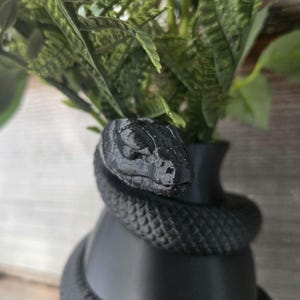 Könnte beinhalten: Eine schwarze Vase mit einer Schlange, die sich darum windet und grüne und rote Pflanzen enthält. Der Schlangenkopf befindet sich oben auf der Vase, mit detaillierten Schuppen. Die Vase hat eine glatte, matte Oberfläche.