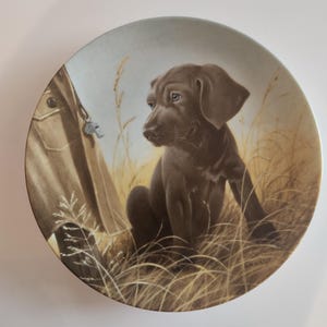 May include: A brown and white ceramic plate with a painting of a chocolate brown puppy sitting in tall grass. The puppy is looking to the left of the image. The plate has a white rim.