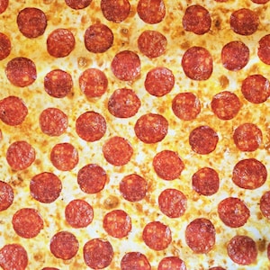 Pepperoni Pizza Fabric: 100% Cotton Quilting Fabric by Timeless Treasures