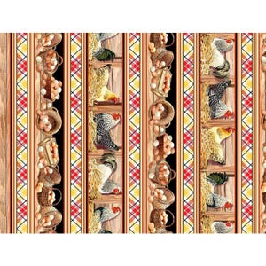 AMAZING EGG LAYING chickens fabric by Michael Miller, 100% cotton fabric, quilting fabric, chicken egg fabric! Free Shipping 35 dollars+!