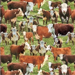 HAPPY HERFORD COW fabric, Timeless Treasures fabric, 100% cotton fabric, cow fabric, animal, quilting fabric! Free Shipping 35 dollars+!