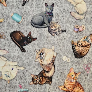 CATS in QUILT room fabric, QT Fabrics, 100% cotton fabric, kitten fabric, cat fabric, pet, quilting fabric! Fast Free shipping 35 dollars +!