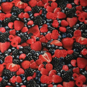 Mixed Berries Fabric: Timeless Treasures Cotton Quilting Material Raspberries, Strawberries, BlueBerries