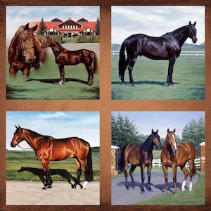 Beautiful Horses Fabric Panel 36 x 44 inches | QT Fabrics 100% Cotton Equine Quilt Fabric | Horse Country, Animal, Pony, Ranch, Farm!