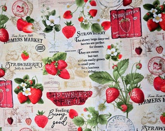 Strawberry Market Fabric: Timeless Treasures Cotton Quilting Food Fruit Material
