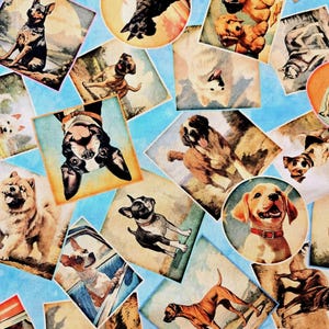 MULTI DOG breed photo collage fabric, QT Fabrics, 100% cotton fabric, dog fabric, quilting fabric, puppy fabric! Free Shipping 35 dollars+!