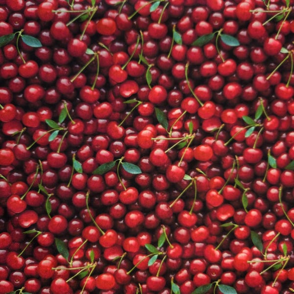 Tela de cerezas dulces: Tela acolchada Windham 100 % algodón