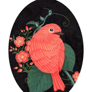 Peach, a fluffy little bird print, 8x10