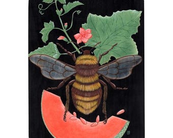 El Melon Bee Fine Art Print