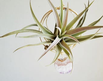 Air Plant Holder, Plant Lover Gift, Hanging Planter With Crystal Slice Heart, Air Planter, Love Gift For Wife, Girlfriend