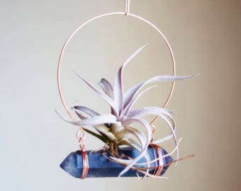 Hanging Planter, Air Plant Crystal Planter, Wabi Sabi Gift For Gardener, Blue Fluorite Air Plant Swing, Chiapensis, Gift For Friend