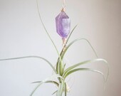 Crystal Air Plant Hanger, February Birthstone, Amethyst Airplant Holder, With Or Without Plant, Purple Decor