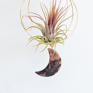 May include: A gold wire hanging planter with a pink and black crescent moon shaped stone pendant. A green air plant is growing inside the planter.
