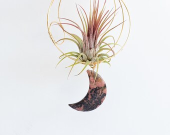 Hanging Planter, Rhodonite Crescent Moon Air Plant Holder, Pink and Black, Peach Blossom Jade, Housewarming Gift, Free Shipping Gift Box