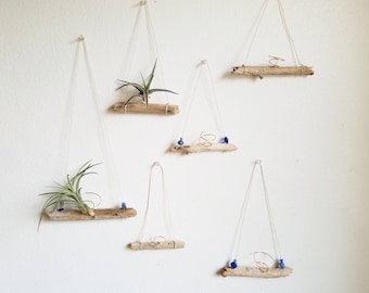 Driftwood Air Plant Holder, Airplant Hanger, Natural Boho Decor, Beach House Wall Decor, Gardening Gift