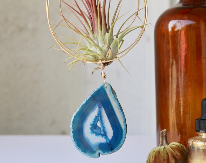 Hanging Planter for Air Plants Airplant Holder Boho Wall Etsy
