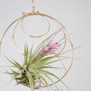 Hanging Planter, Air Plant Holder, Minimalist Celestial Inspired Wall Planter, Boho Decor, Housewarming Gift, Free Gift Box, under 25 image 3