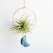 see more listings in the Moon Air Plant Nests section