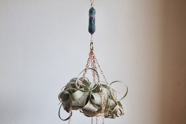 Air Plant Holder Hanging Xerographica Planter With or Etsy
