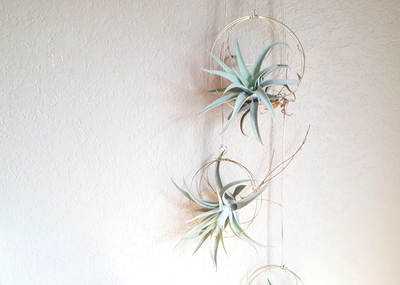 Geometric Hanging Air Plant Holder Set, Airplant Hangers, Moon Inspired Wall Decor, Himmeli, Gift For Plant Lover, Mom, Free Gift Boxes image 4