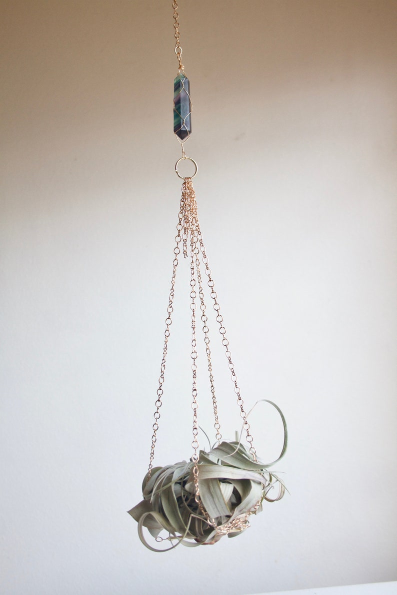 Air Plant Holder Hanging Xerographica Planter With or Etsy