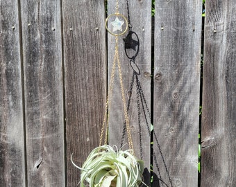 Large Air Plant Holder, Celestial Plant Decor, Airplant Display, Boho Decor, Housewarming Gift Under 50, Plant Mom, Plant Dad, Small Space