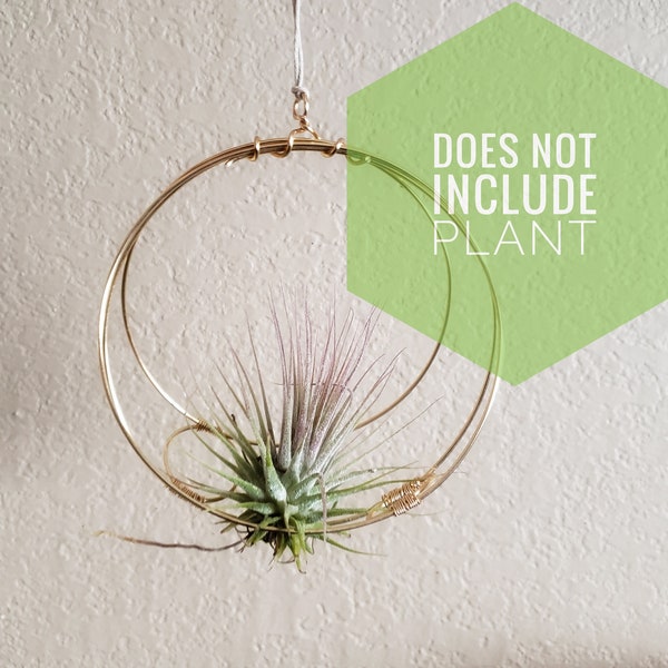 Air Plant Holder ONLY, NO PLANT Minimalist Hanging Wall Planter, Boho Decor, Housewarming Gift under 25, Celestial,