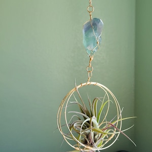 May include: A hanging air plant holder with a gold-colored wire frame and a large, light blue-green crystal suspended above. The holder contains an air plant with green and purple leaves. The background is a solid, muted green.