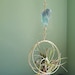 see more listings in the Moon Air Plant Nests section