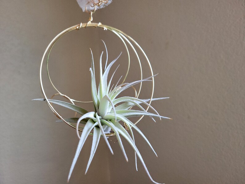 Hanging Planter, Air Plant Holder, Minimalist Celestial Inspired Wall Planter, Boho Decor, Housewarming Gift, Free Gift Box, under 25 image 9