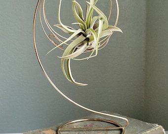 May include: A gold metal air plant holder with a circular design. The holder is on a stack of old books.