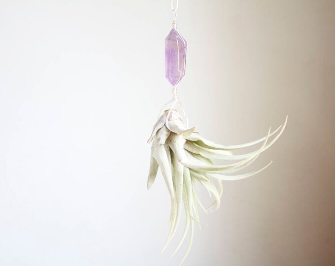 Hanging Planter for Air Plants Airplant Hanger Small Size Etsy