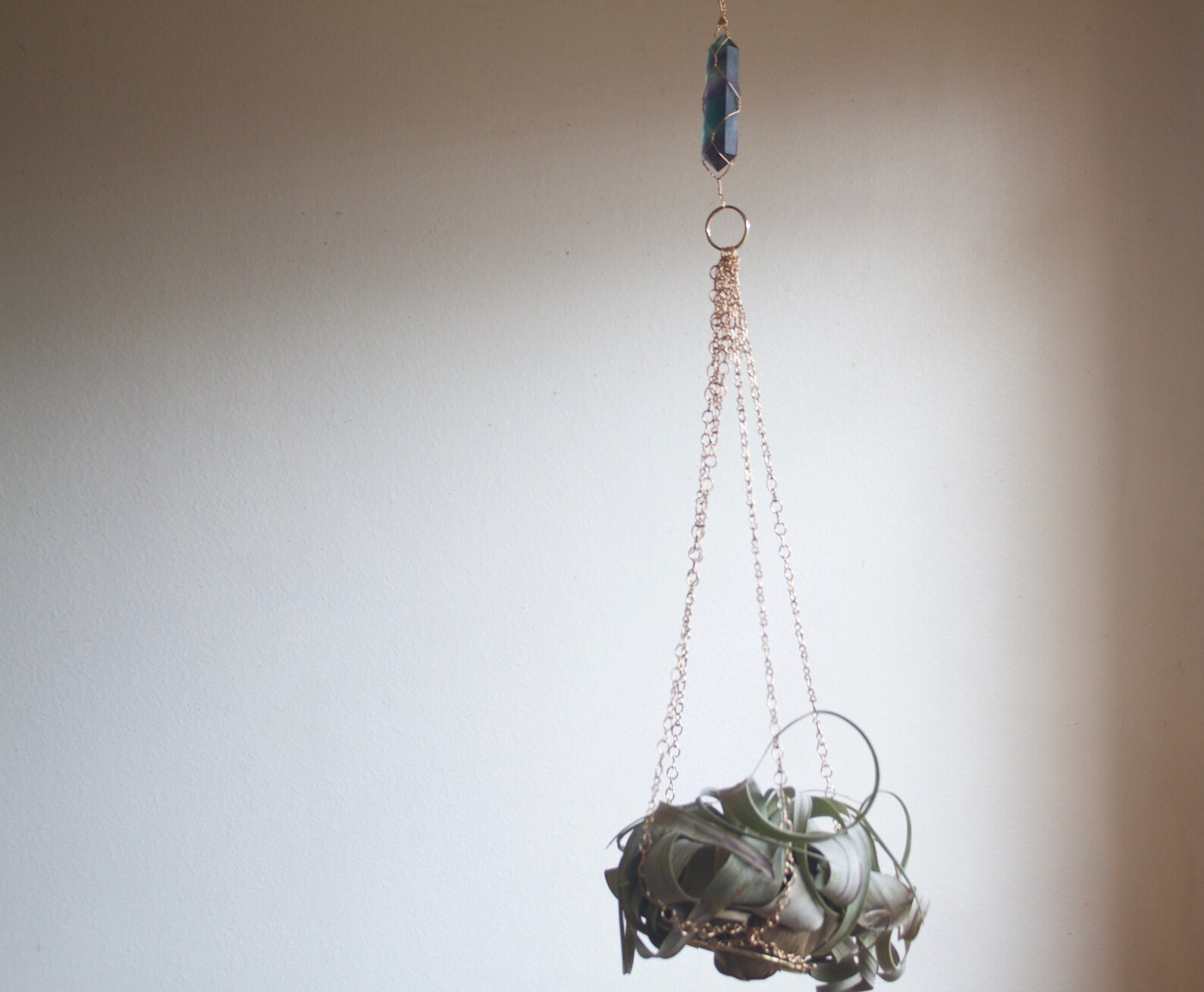 Air Plant Holder Hanging Xerographica Planter With or Etsy