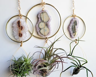 Amethyst Slice Air Plant Hanger, Amethyst Crystal Airplant Holder, With Plant, Gift for Plant Lover, Crystal Collector, Boho Friend