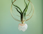 Heart Air Plant Holder, Valentine 39 s Day Gift, Hanging Planter With Crystal Slice, Air Planter, Love Gift For Wife, Girlfriend, Garden Gift