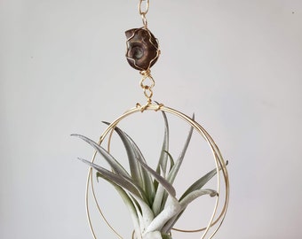 Air Plant Holder, Airplant Hanger, Opalized Ammonite, Unique Hanging Planter, Fossil, Gift For Her under 50, Free Shipping Gift Box