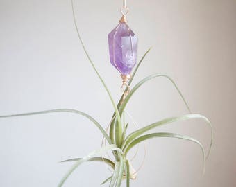 Amethyst Air Plant Holder, February Birthstone, Amethyst Airplant Hanger, With Or Without Plant, Purple Wall Decor, Hanging Planter