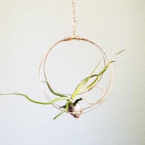 Geometric Hanging Air Plant Holder Set, Airplant Hangers, Moon Inspired Wall Decor, Himmeli, Gift For Plant Lover, Mom, Free Gift Boxes image 10